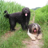 wandeling