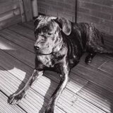 wat was som mooi he!! we missen haar!!