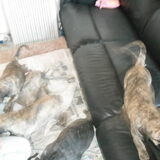 rox met haar familie