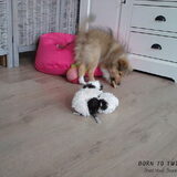 Sarah 15 weken oud