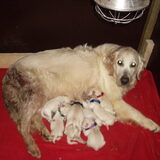 Roos is trots :) ze is nog wel vies $