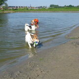 spelen !!!