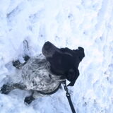 leuk sneeuw !!!