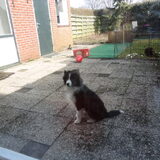 Foto van vivian