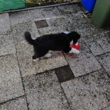 Foto van vivian