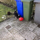 Foto van vivian