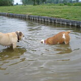 ik wil ook weten wat er onder water gebeurt hoor