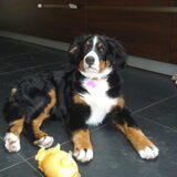 Kira groeit zo hard.... hier is ze al 26 weken!