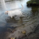 Lekker pootje baden in het park!