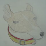 getekend door buddy
