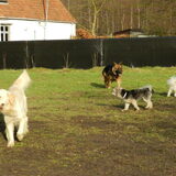 Foto van Melissa, Dempsey, Taiko, Minos & *Nina*