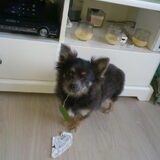stout?? nee hoor :)