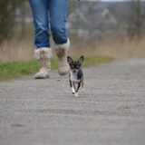 Samen wandelen