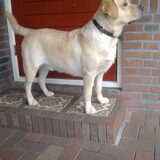 Foto van Ina en Boris