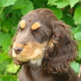 Chocotoff dochter van onze Maxi mates lord of the Ring