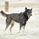Op het strand, al die haren eraf rennen! 2012
