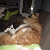 Foto van Jana *FeLaNelKi*