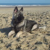 Foto van nicky