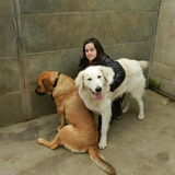 Knuffel momentje tussen Betsy, Kiraj en ik (ex-asielhondjes)