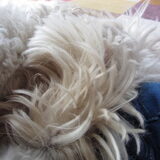 Foto van Dewi & de doodles