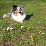 Foto van Lizzie en Sterre