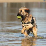 Foto van team Shadow