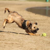 Foto van team Shadow