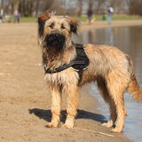 Foto van team Shadow