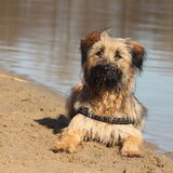 Foto van team Shadow