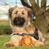 Foto van team Shadow