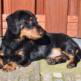 Pepijn 1 jaar!