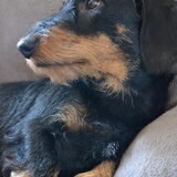 Pepijn 1 jaar!