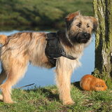 Foto van team Shadow