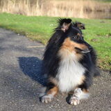Foto van Mieke ft. Dhayla