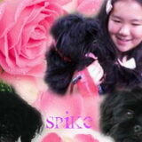 Foto van julia en spike