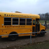 honden schoolbus