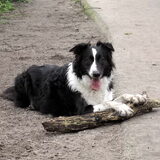 Foto van Lizanne