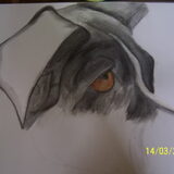 gucci tekening 2