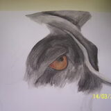 gucci tekening1
