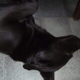 Ben toch een scheetje!! ALé vrouwke vindt toch!!