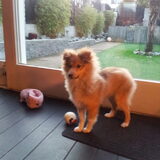 Foto van annemiek