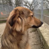 Foto van Sanne