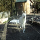 Mike in de tuin