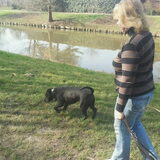 Mama met Hummer!