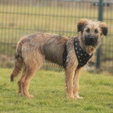 Foto van team Shadow