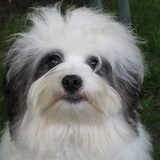 Foto van Linsey