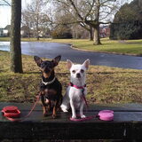 Foto van Jantina, Laila & Luna