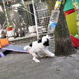 Foto van Linsey