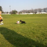 butch voetballe met mylloy