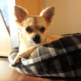 Chillen in de zon